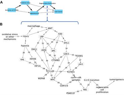 Integration of Adverse Outcome Pathways, Causal Networks and ‘Omics to Support Chemical Hazard Assessment